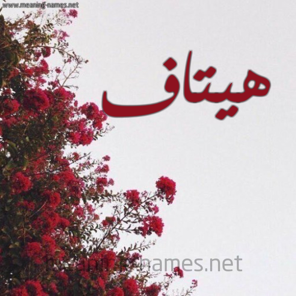 شكل 18 صوره الورد الأحمر للإسم بخط رقعة صورة اسم هيتاف Hetaf