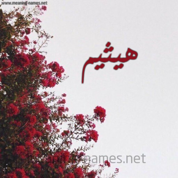 شكل 18 صوره الورد الأحمر للإسم بخط رقعة صورة اسم هيثيم Haitham