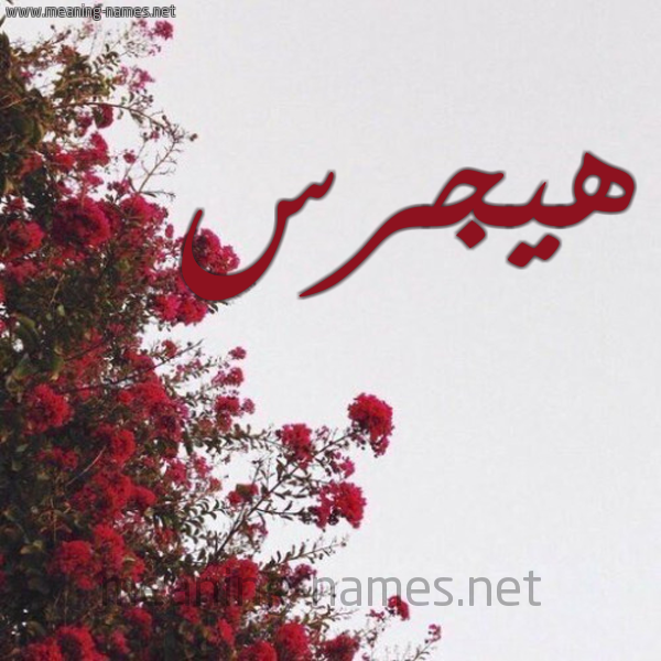 شكل 18 صوره الورد الأحمر للإسم بخط رقعة صورة اسم هيجرس Hajras