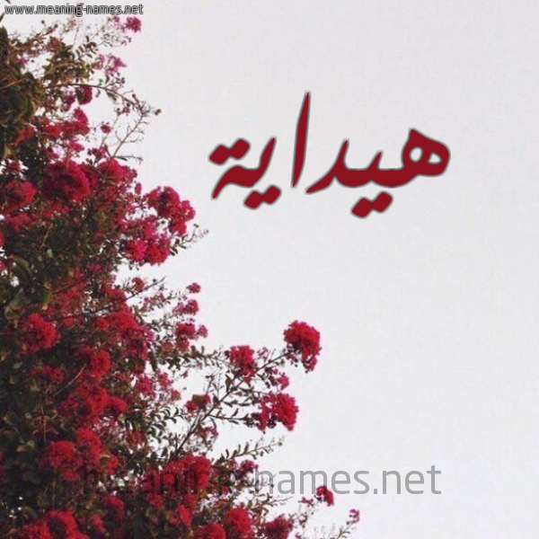 شكل 18 صوره الورد الأحمر للإسم بخط رقعة صورة اسم هيداية Hidaya
