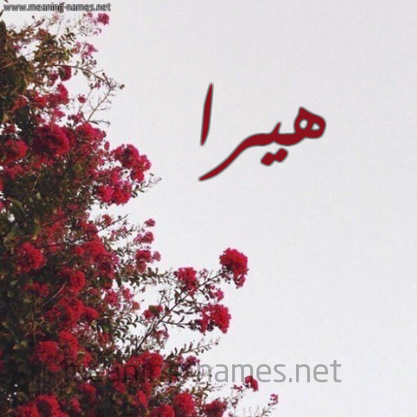 شكل 18 صوره الورد الأحمر للإسم بخط رقعة صورة اسم هيرا hira