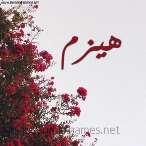 شكل 18 صوره الورد الأحمر للإسم بخط رقعة صورة اسم هيزم Hyzm