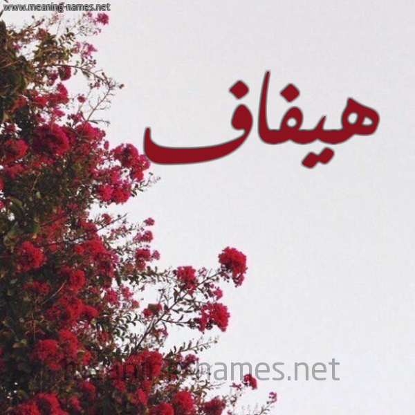 شكل 18 صوره الورد الأحمر للإسم بخط رقعة صورة اسم هيفاف Hifaf