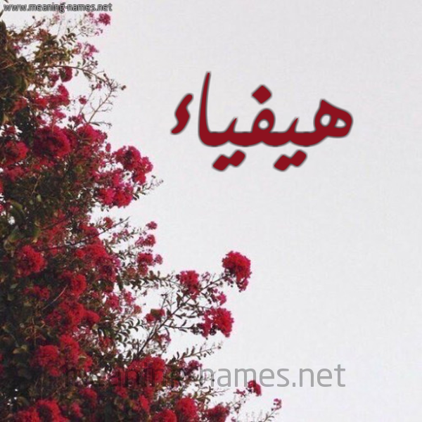 شكل 18 صوره الورد الأحمر للإسم بخط رقعة صورة اسم هيفياء Haifaa