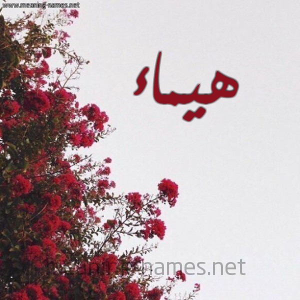 شكل 18 صوره الورد الأحمر للإسم بخط رقعة صورة اسم هيماء Haimaa