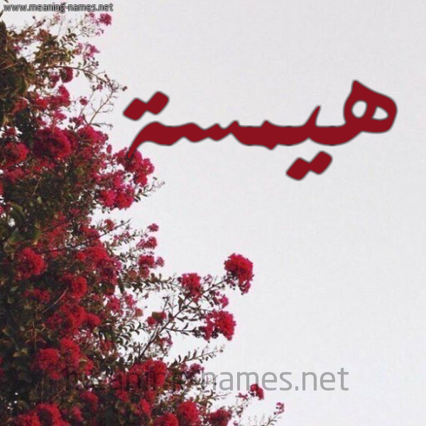 شكل 18 صوره الورد الأحمر للإسم بخط رقعة صورة اسم هيمسة Hamsa