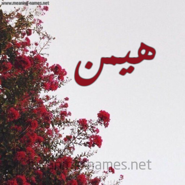 شكل 18 صوره الورد الأحمر للإسم بخط رقعة صورة اسم هيمن Haiman