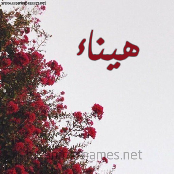 شكل 18 صوره الورد الأحمر للإسم بخط رقعة صورة اسم هيناء Hanaa
