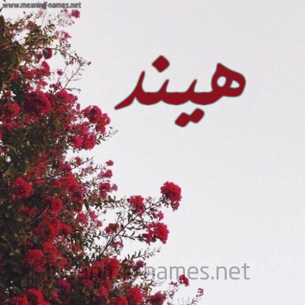 صورة اسم هيند Hend شكل 18 صوره الورد الأحمر للإسم بخط رقعة