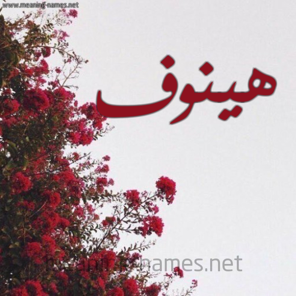شكل 18 صوره الورد الأحمر للإسم بخط رقعة صورة اسم هينوف Hanoof