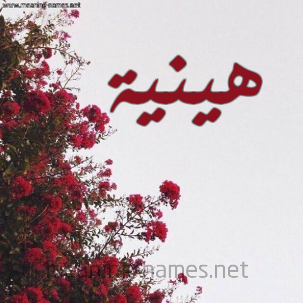 شكل 18 صوره الورد الأحمر للإسم بخط رقعة صورة اسم هينية Haneya