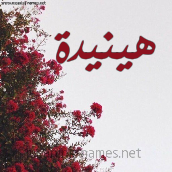 شكل 18 صوره الورد الأحمر للإسم بخط رقعة صورة اسم هينيدة Hanida
