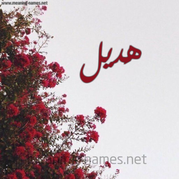 شكل 18 صوره الورد الأحمر للإسم بخط رقعة صورة اسم هَديل HADIL