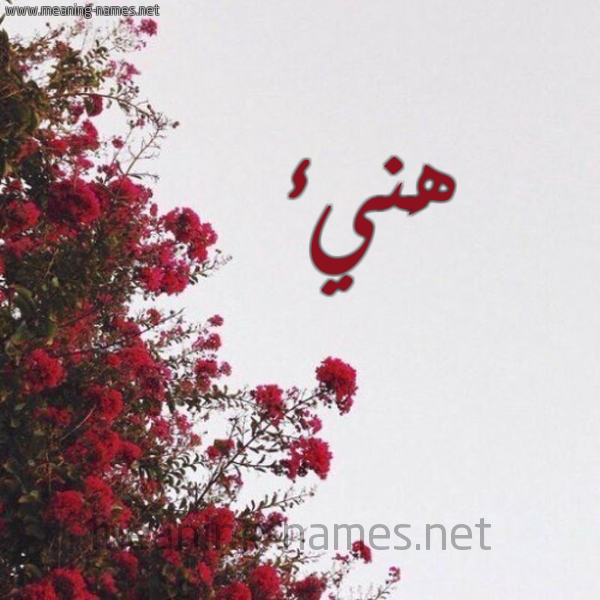 شكل 18 صوره الورد الأحمر للإسم بخط رقعة صورة اسم هَنيء HANIA