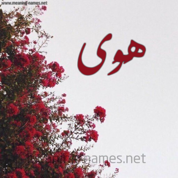 شكل 18 صوره الورد الأحمر للإسم بخط رقعة صورة اسم هَوَى HAOAA