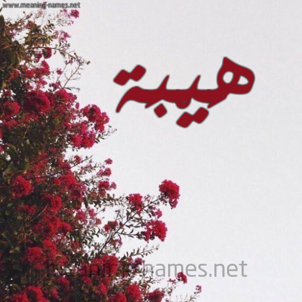شكل 18 صوره الورد الأحمر للإسم بخط رقعة صورة اسم هَيْبَة HAIBAH
