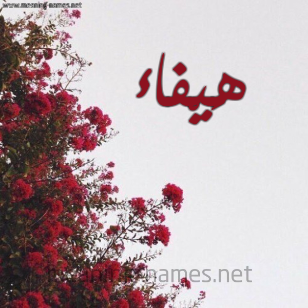 شكل 18 صوره الورد الأحمر للإسم بخط رقعة صورة اسم هَيْفاء HAIFAA