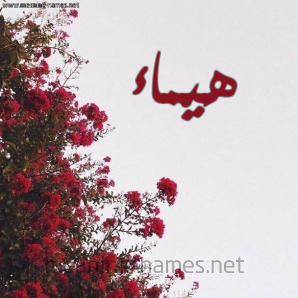 شكل 18 صوره الورد الأحمر للإسم بخط رقعة صورة اسم هَيْماء HAIMAA