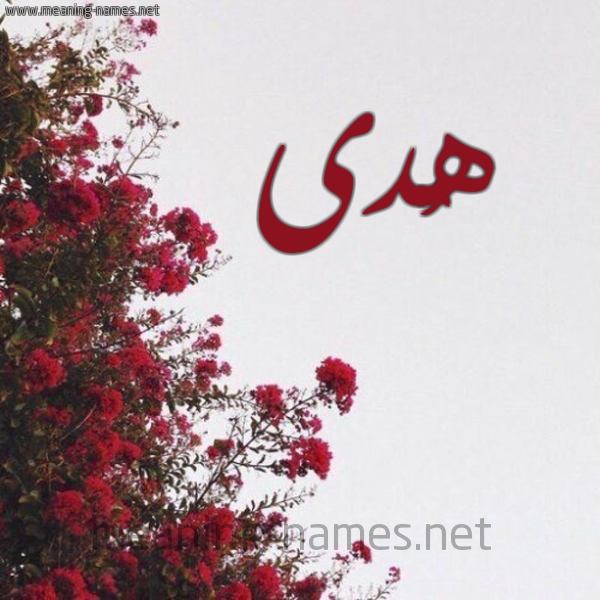 شكل 18 صوره الورد الأحمر للإسم بخط رقعة صورة اسم هُدى Hoda