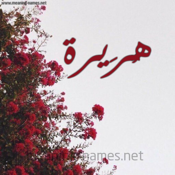 شكل 18 صوره الورد الأحمر للإسم بخط رقعة صورة اسم هُرَيرة HORAIRH