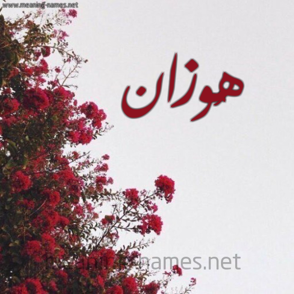 شكل 18 صوره الورد الأحمر للإسم بخط رقعة صورة اسم هُوزان HOOZAN