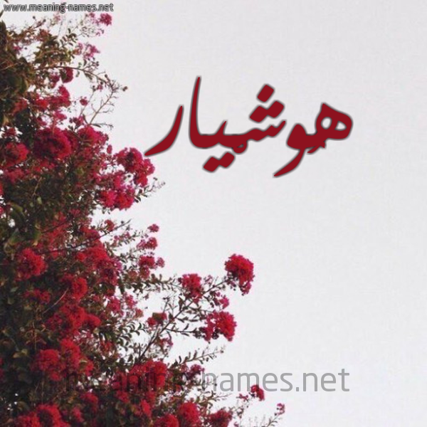 شكل 18 صوره الورد الأحمر للإسم بخط رقعة صورة اسم هُوشْيار HOOSHIAR