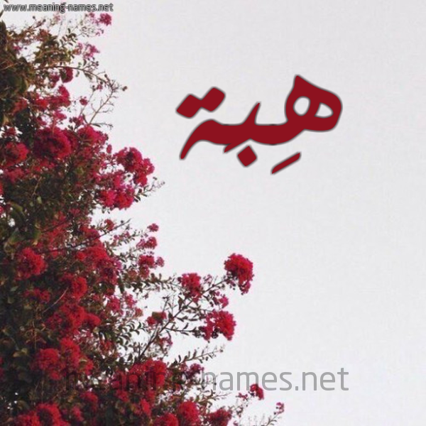 شكل 18 صوره الورد الأحمر للإسم بخط رقعة صورة اسم هِبَة HEBA