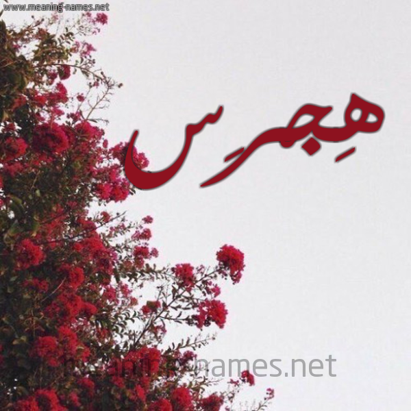 شكل 18 صوره الورد الأحمر للإسم بخط رقعة صورة اسم هِجْرِس HEGRES