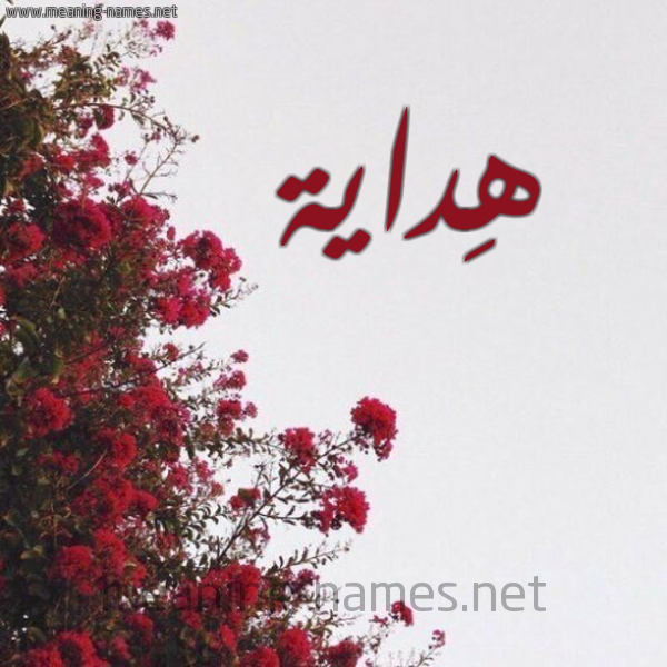 شكل 18 صوره الورد الأحمر للإسم بخط رقعة صورة اسم هِداية HEDAIH