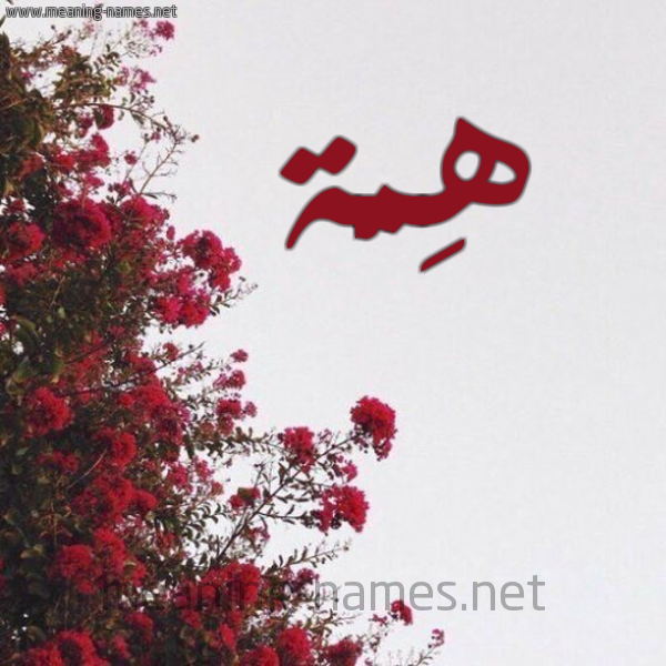 شكل 18 صوره الورد الأحمر للإسم بخط رقعة صورة اسم هِمَّة HEMAH