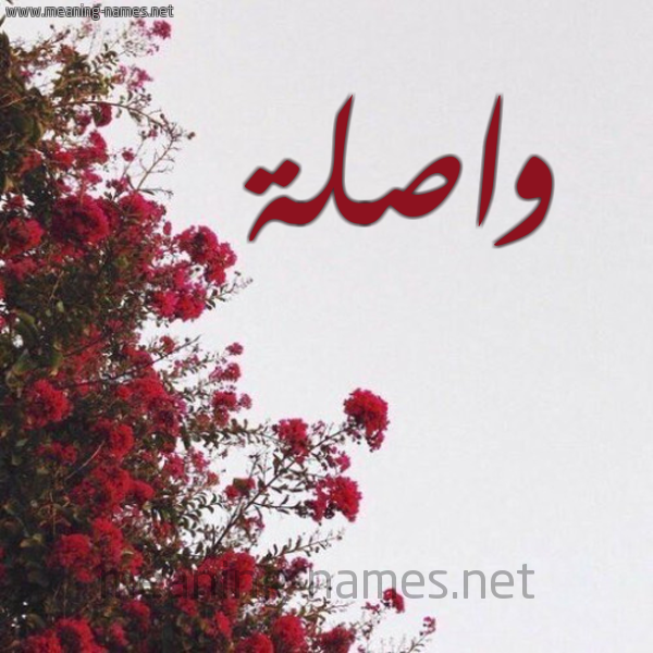 شكل 18 صوره الورد الأحمر للإسم بخط رقعة صورة اسم واصلة Waslh