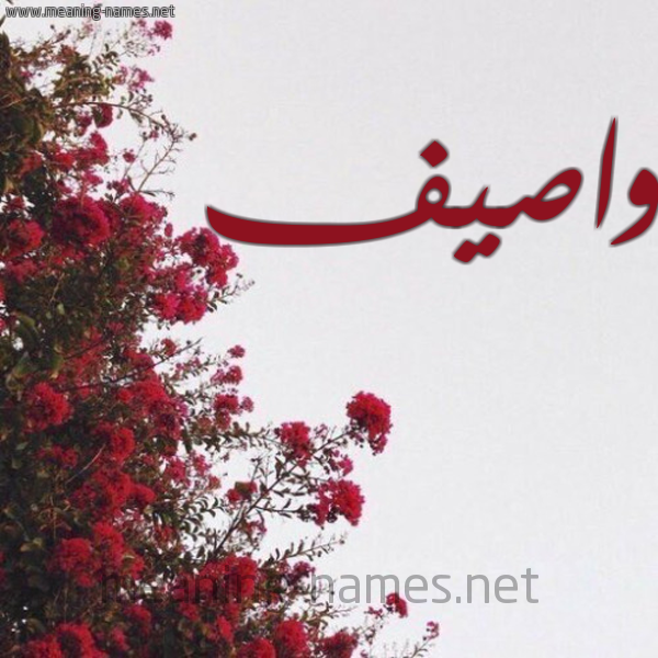 شكل 18 صوره الورد الأحمر للإسم بخط رقعة صورة اسم واصيف Wasif