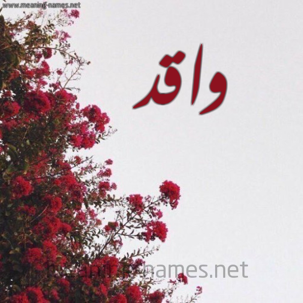 شكل 18 صوره الورد الأحمر للإسم بخط رقعة صورة اسم واقد Waqd