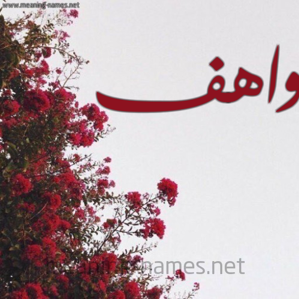شكل 18 صوره الورد الأحمر للإسم بخط رقعة صورة اسم واهف OAHF