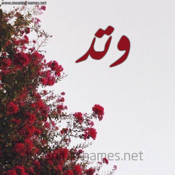 شكل 18 صوره الورد الأحمر للإسم بخط رقعة صورة اسم وتد Watad