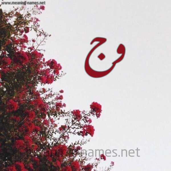 شكل 18 صوره الورد الأحمر للإسم بخط رقعة صورة اسم وج Wj