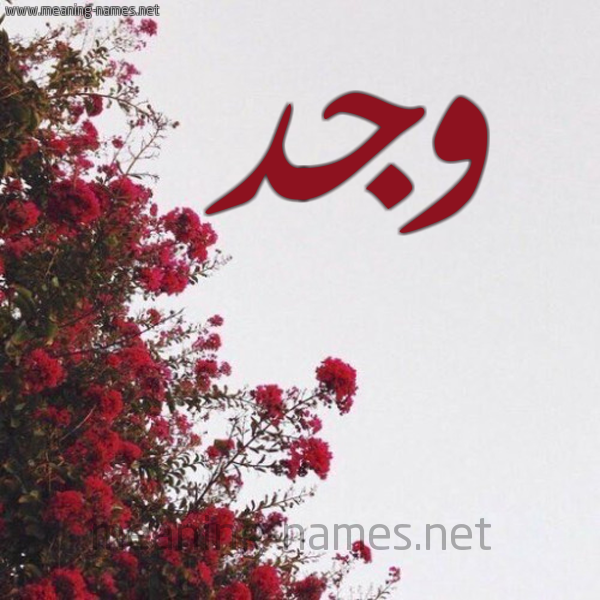 شكل 18 صوره الورد الأحمر للإسم بخط رقعة صورة اسم وجد Wjd