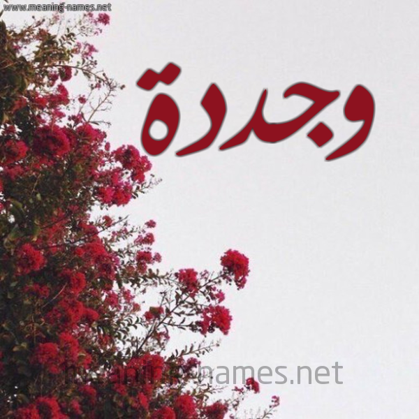 شكل 18 صوره الورد الأحمر للإسم بخط رقعة صورة اسم وجددة Wajda