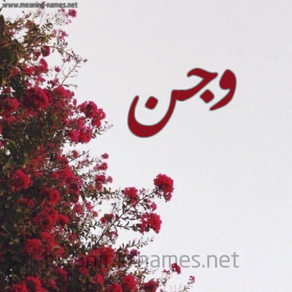 شكل 18 صوره الورد الأحمر للإسم بخط رقعة صورة اسم وجن wagn