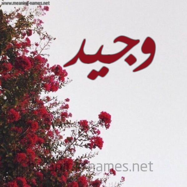 شكل 18 صوره الورد الأحمر للإسم بخط رقعة صورة اسم وجيد Wajeed