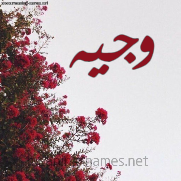 شكل 18 صوره الورد الأحمر للإسم بخط رقعة صورة اسم وجيه Wagih