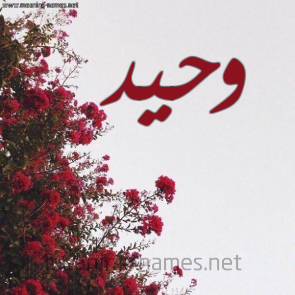 شكل 18 صوره الورد الأحمر للإسم بخط رقعة صورة اسم وحيد Waheed
