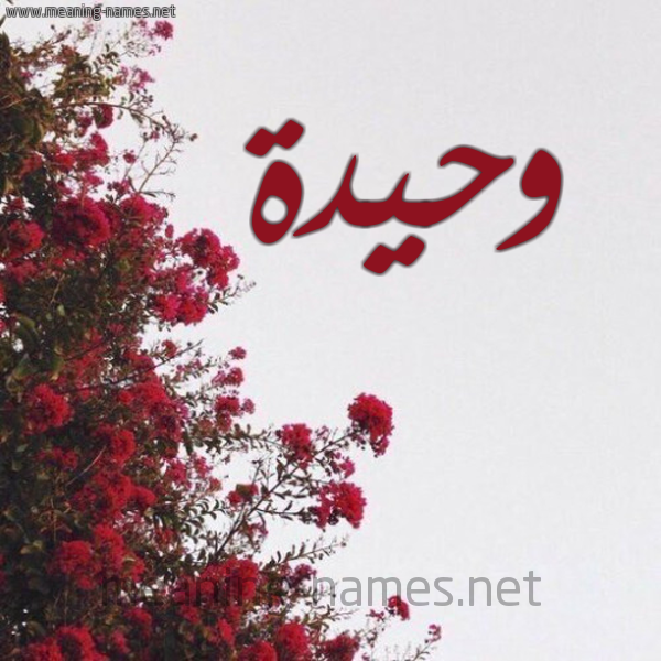 شكل 18 صوره الورد الأحمر للإسم بخط رقعة صورة اسم وحيدة Wahida