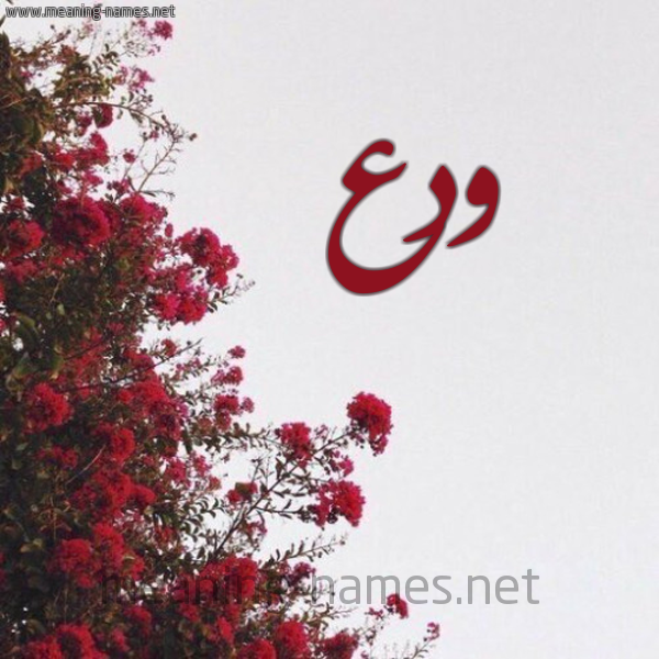 شكل 18 صوره الورد الأحمر للإسم بخط رقعة صورة اسم ودع Wadaa
