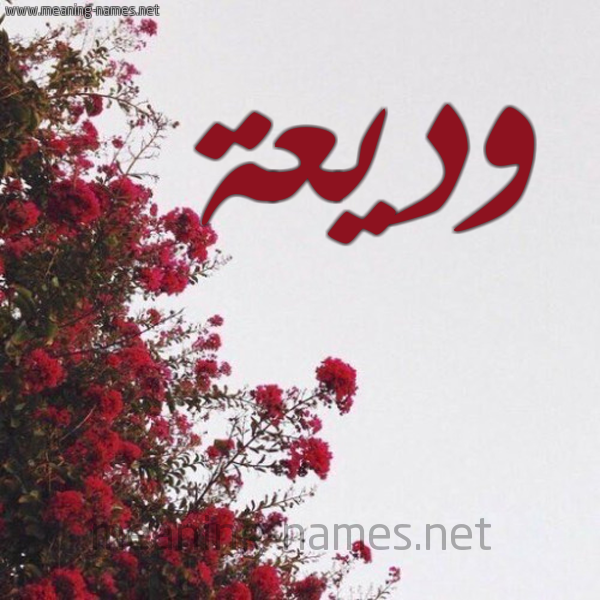 شكل 18 صوره الورد الأحمر للإسم بخط رقعة صورة اسم وديعة Wdeaa