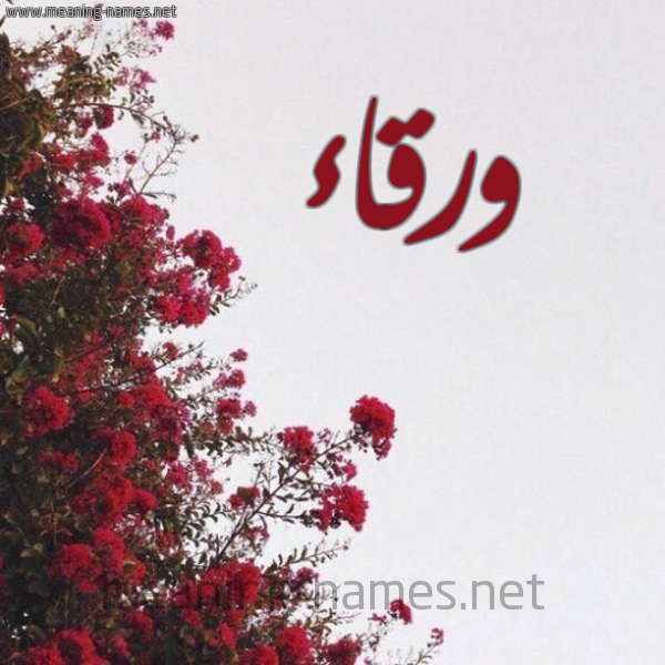 شكل 18 صوره الورد الأحمر للإسم بخط رقعة صورة اسم ورقاء Wrqaa