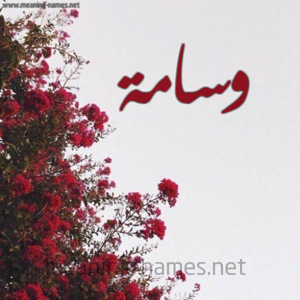شكل 18 صوره الورد الأحمر للإسم بخط رقعة صورة اسم وسامة Wsamh