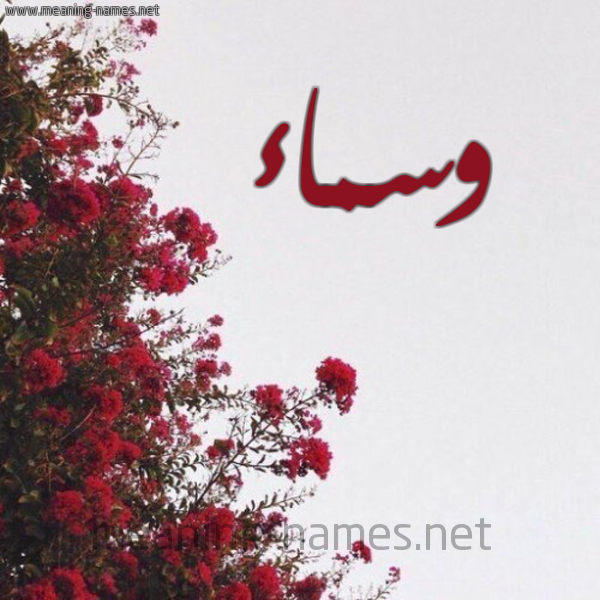 شكل 18 صوره الورد الأحمر للإسم بخط رقعة صورة اسم وسماء OSMAA
