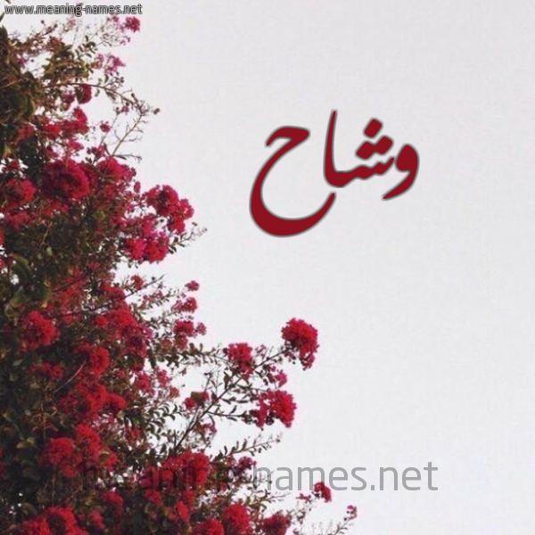 شكل 18 صوره الورد الأحمر للإسم بخط رقعة صورة اسم وشاح Wshah