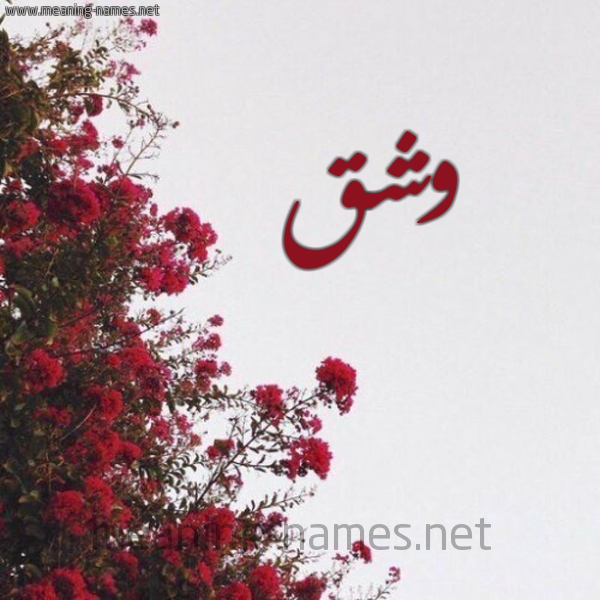 شكل 18 صوره الورد الأحمر للإسم بخط رقعة صورة اسم وشق وَشْق-Wshq